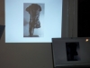 Rilke, Rodin, Cézanne - L’opera d’arte come Réalisation | Spazio Voltolina (Venezia Mestre)